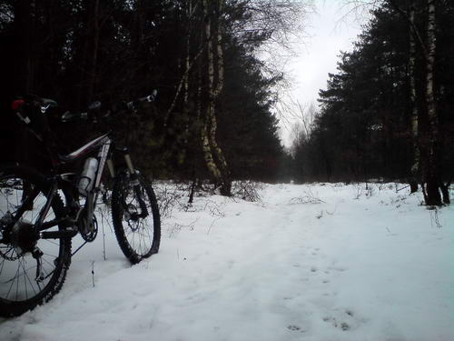 Mountain bike in the snow by
              Wageningen